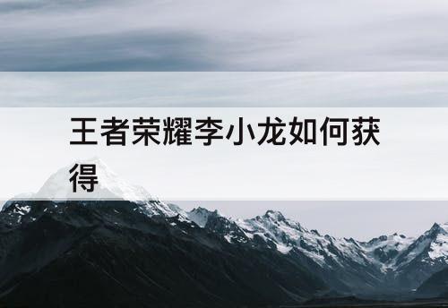 王者荣耀李小龙如何获得