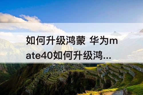 如何升级鸿蒙 华为mate40如何升级鸿蒙系统