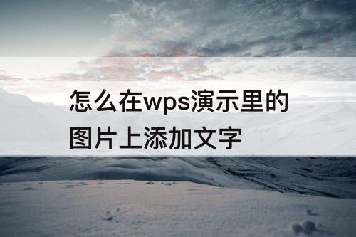 怎么在wps演示里的图片上添加文字