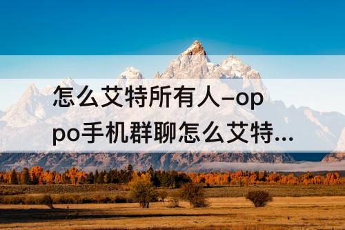 怎么艾特所有人-oppo手机群聊怎么艾特所有人