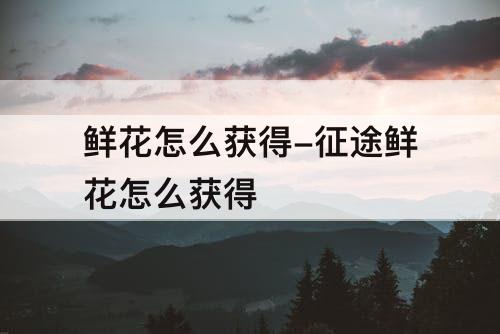 鲜花怎么获得-征途鲜花怎么获得
