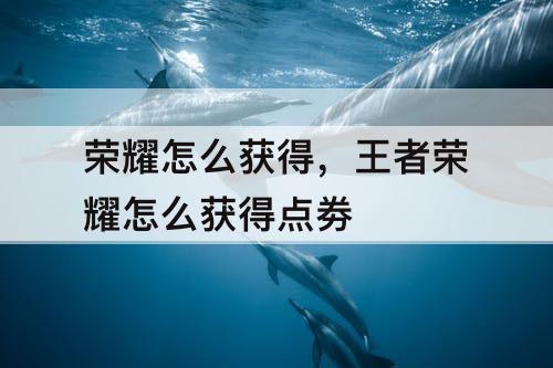 荣耀怎么获得，王者荣耀怎么获得点劵