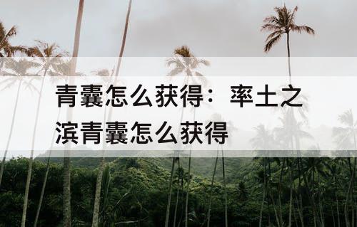 青囊怎么获得：率土之滨青囊怎么获得