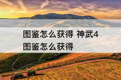 图鉴怎么获得 神武4图鉴怎么获得