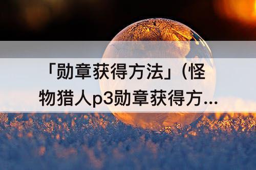 「勋章获得方法」(怪物猎人p3勋章获得方法)