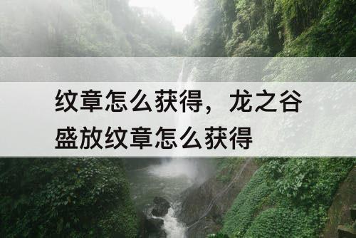 纹章怎么获得，龙之谷盛放纹章怎么获得
