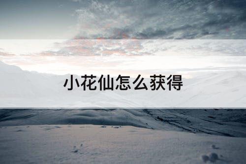 小花仙怎么获得