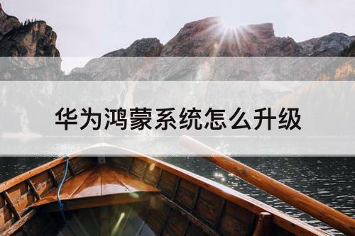 华为鸿蒙系统怎么升级