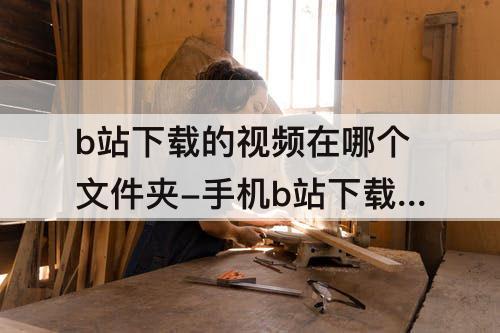 b站下载的视频在哪个文件夹-手机b站下载的视频在哪个文件夹