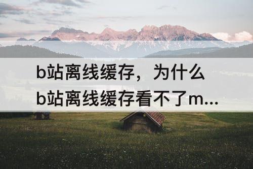 b站离线缓存，为什么b站离线缓存看不了m1