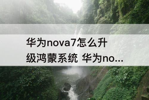 华为nova7怎么升级鸿蒙系统 华为nova7怎么升级鸿蒙系统吗