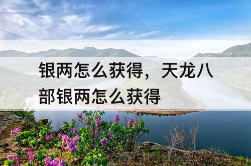 银两怎么获得，天龙八部银两怎么获得