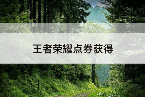 王者荣耀点券获得
