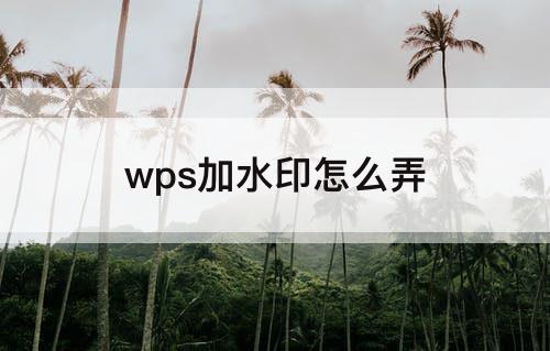 wps加水印怎么弄