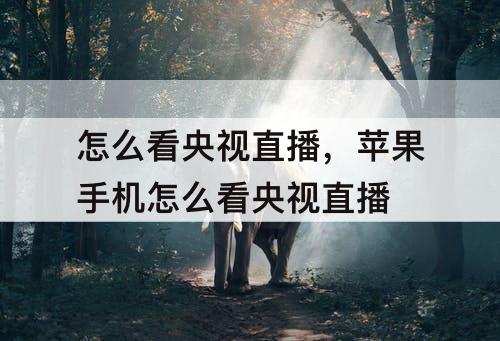 怎么看央视直播，苹果手机怎么看央视直播