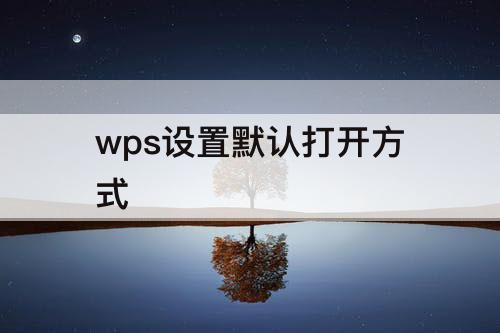 wps设置默认打开方式
