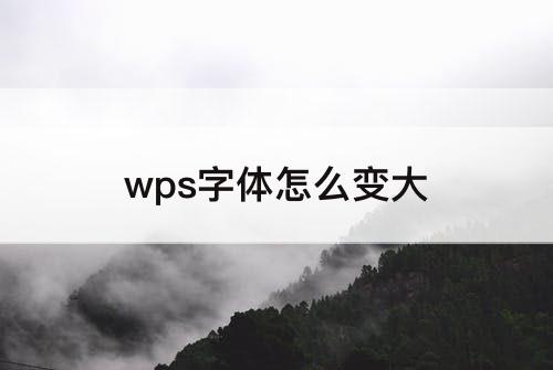 wps字体怎么变大