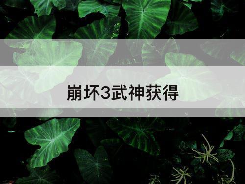 崩坏3武神获得