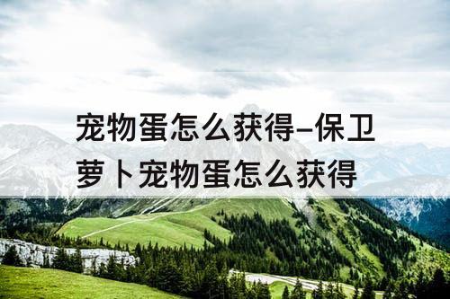 宠物蛋怎么获得-保卫萝卜宠物蛋怎么获得