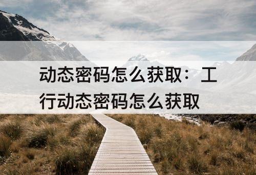 动态密码怎么获取：工行动态密码怎么获取