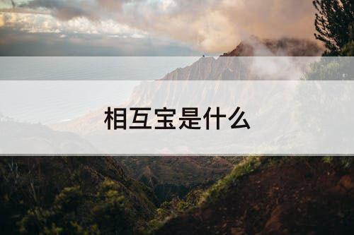 相互宝是什么