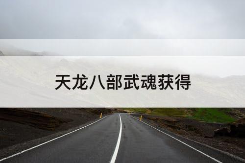 天龙八部武魂获得
