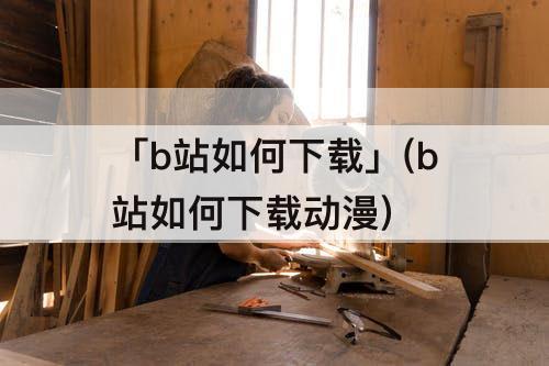 「b站如何下载」(b站如何下载动漫)