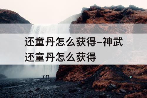 还童丹怎么获得-神武还童丹怎么获得