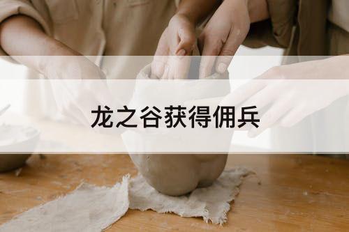 龙之谷获得佣兵