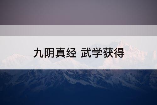 九阴真经 武学获得