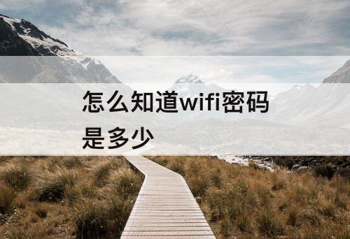 怎么知道wifi密码是多少