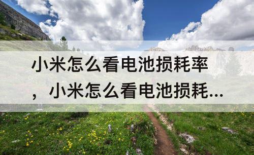 小米怎么看电池损耗率，小米怎么看电池损耗率9