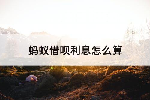 蚂蚁借呗利息怎么算