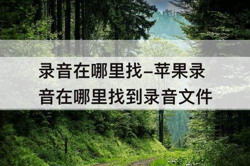录音在哪里找-苹果录音在哪里找到录音文件