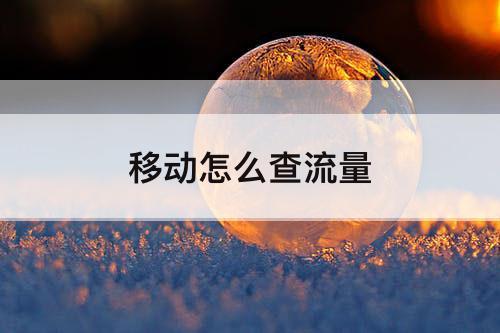 移动怎么查流量