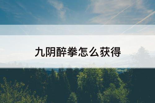 九阴醉拳怎么获得