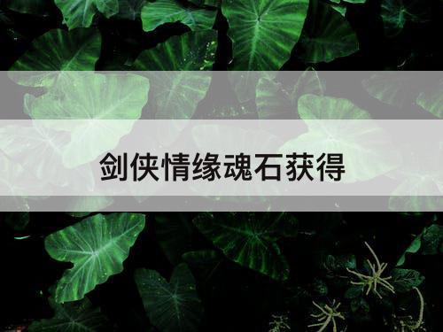 剑侠情缘魂石获得