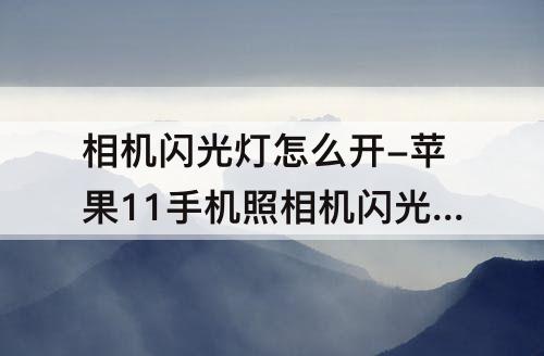 相机闪光灯怎么开-苹果11手机照相机闪光灯怎么开