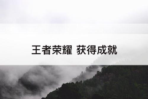 王者荣耀 获得成就
