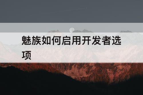 魅族如何启用开发者选项