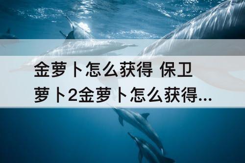 金萝卜怎么获得 保卫萝卜2金萝卜怎么获得59