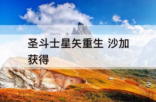 圣斗士星矢重生 沙加获得