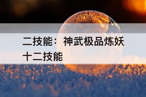 二技能：神武极品炼妖十二技能