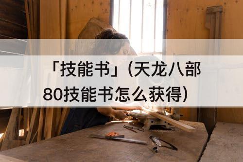 「技能书」(天龙八部80技能书怎么获得)