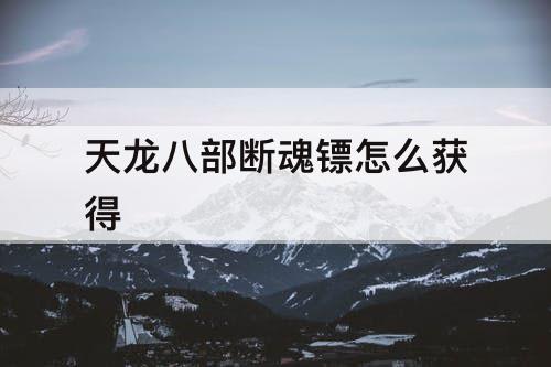 天龙八部断魂镖怎么获得