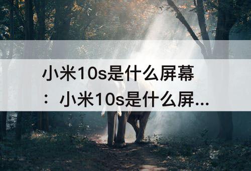 小米10s是什么屏幕:小米10s是什么屏幕排列