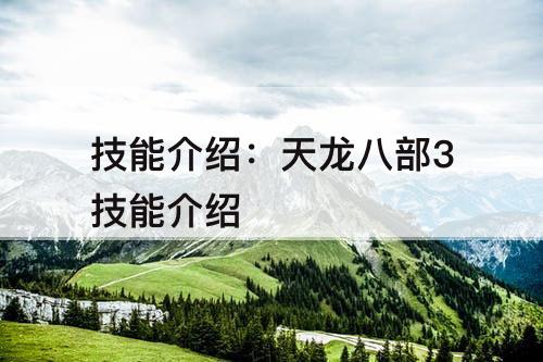 技能介绍：天龙八部3技能介绍