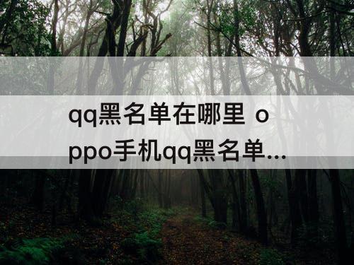 qq黑名单在哪里 oppo手机qq黑名单在哪里找