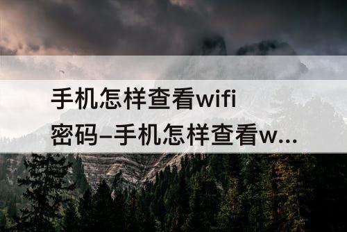 手机怎样查看wifi密码-手机怎样查看wifi密码没有二维码