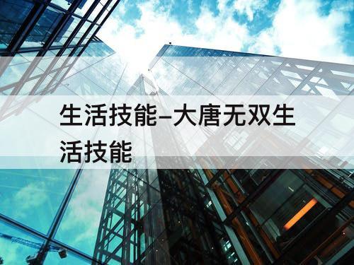 生活技能-大唐无双生活技能